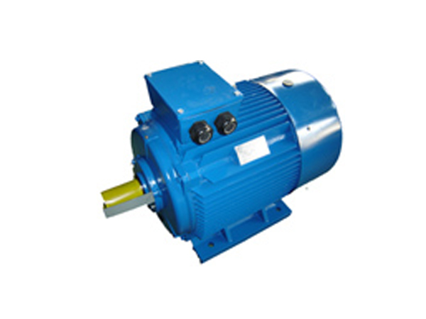 YE3 Cast Iron Electric Motors