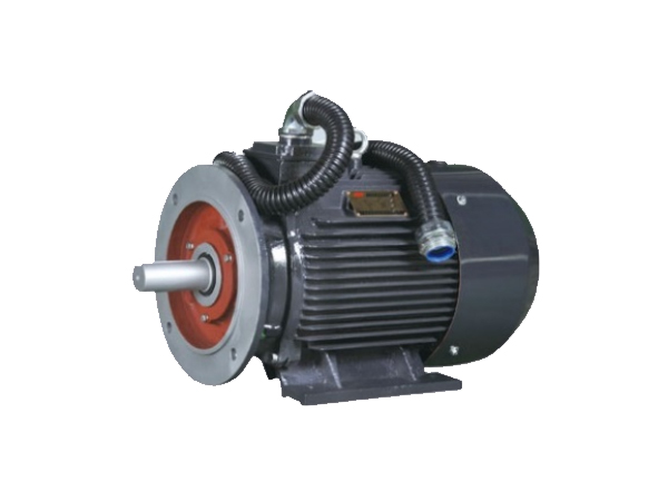 HPM Servo Compressor Motor