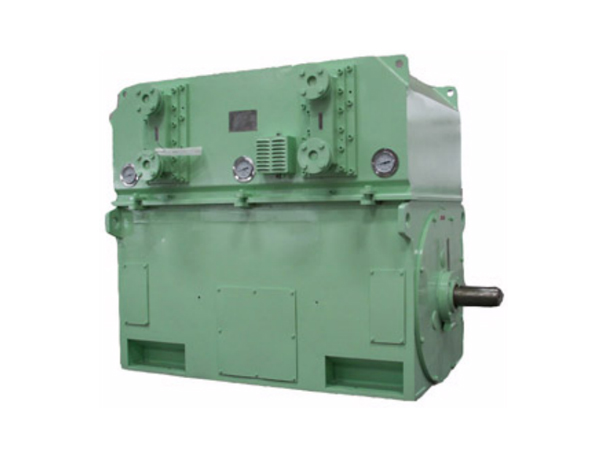 YRKS High Voltage Motor